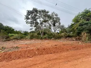 Imagem 4 - Terreno Comercial em São Lourenço, Cáceres - MT