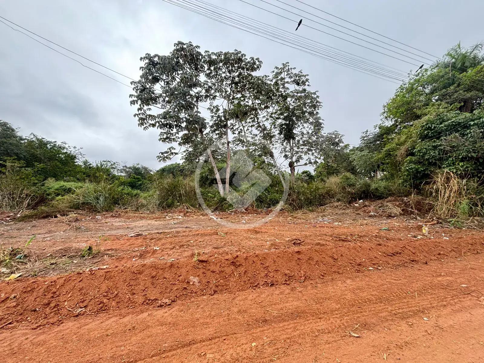 Imagem 4 - Terreno Comercial em São Lourenço, Cáceres - MT