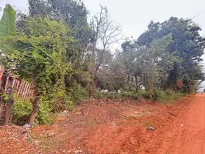 Imagem 5 - Terreno Comercial em São Lourenço, Cáceres - MT
