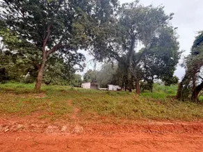 Imagem 6 - Terreno Comercial em São Lourenço, Cáceres - MT