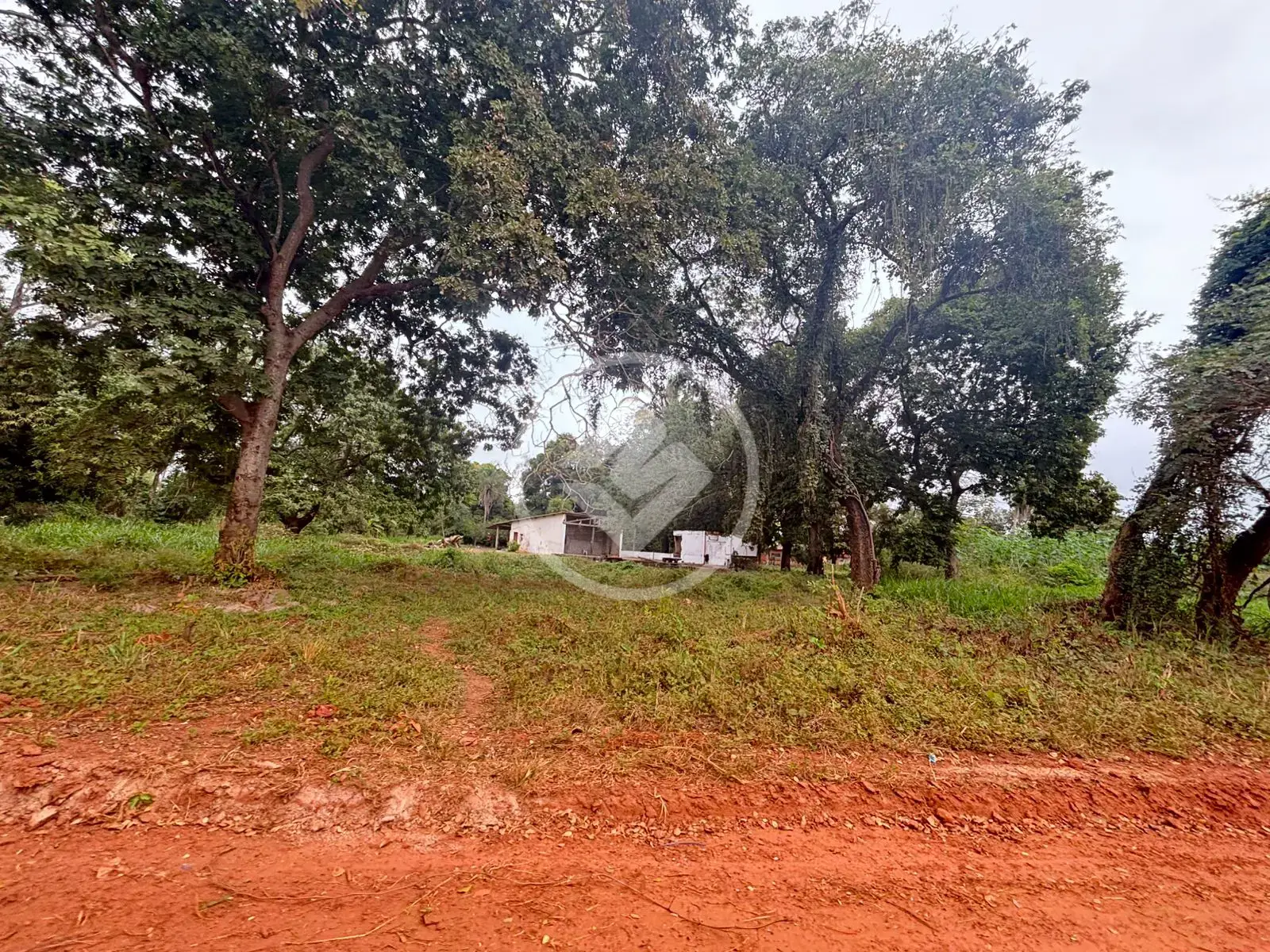 Imagem 6 - Terreno Comercial em São Lourenço, Cáceres - MT