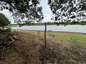 Imagem 6 - Chácara em Santa Cruz, Cáceres - MT