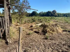 Imagem 4 - Chácara em Vila Real, Cáceres - MT