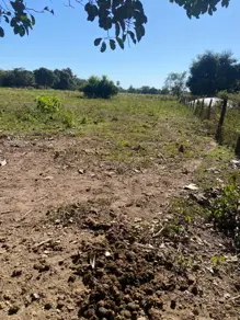 Imagem 6 - Chácara em Vila Real, Cáceres - MT