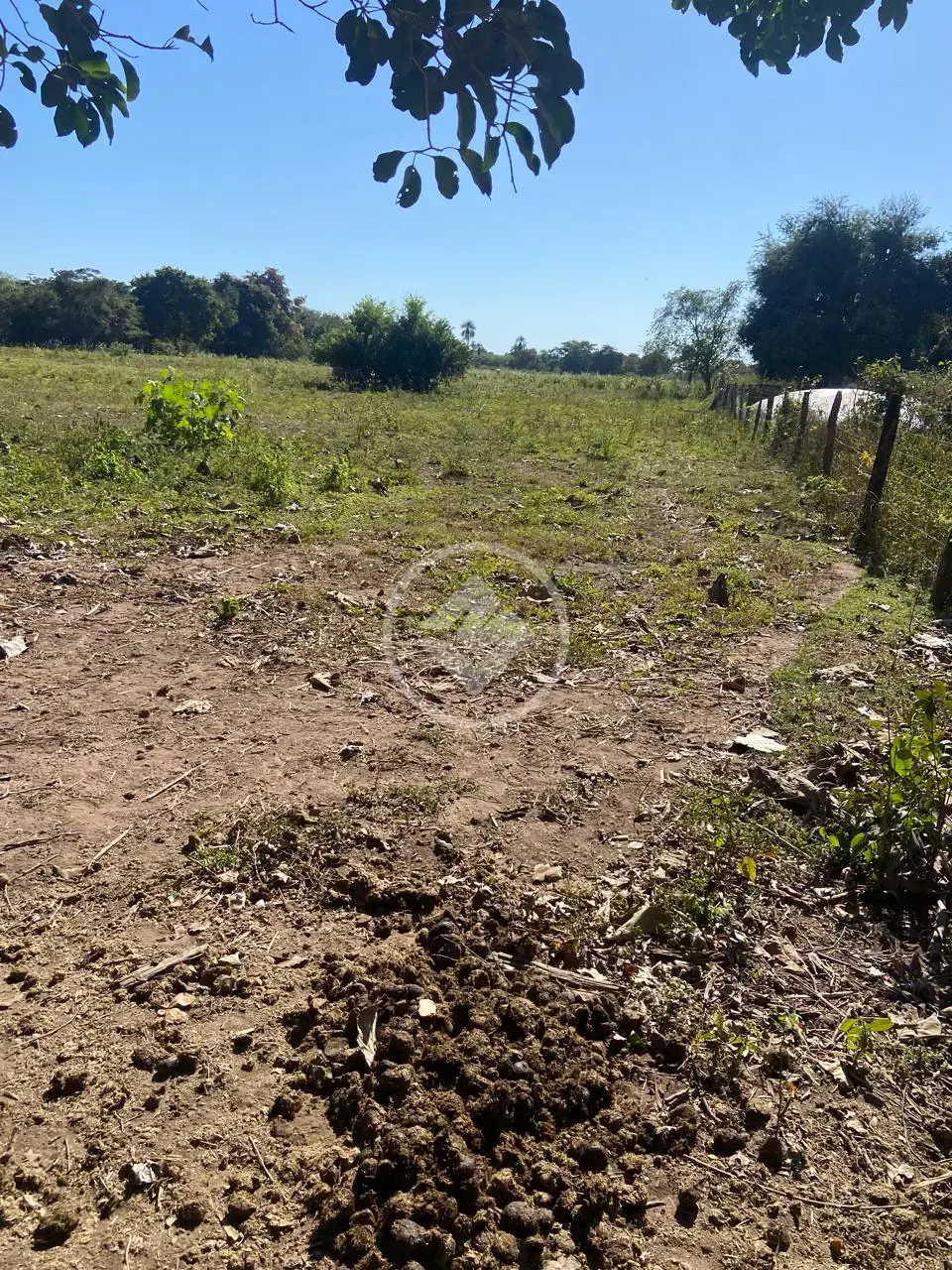 Imagem 6 - Chácara em Vila Real, Cáceres - MT