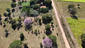 Imagem 3 - Terreno em Centro-Sul, Cáceres - MT