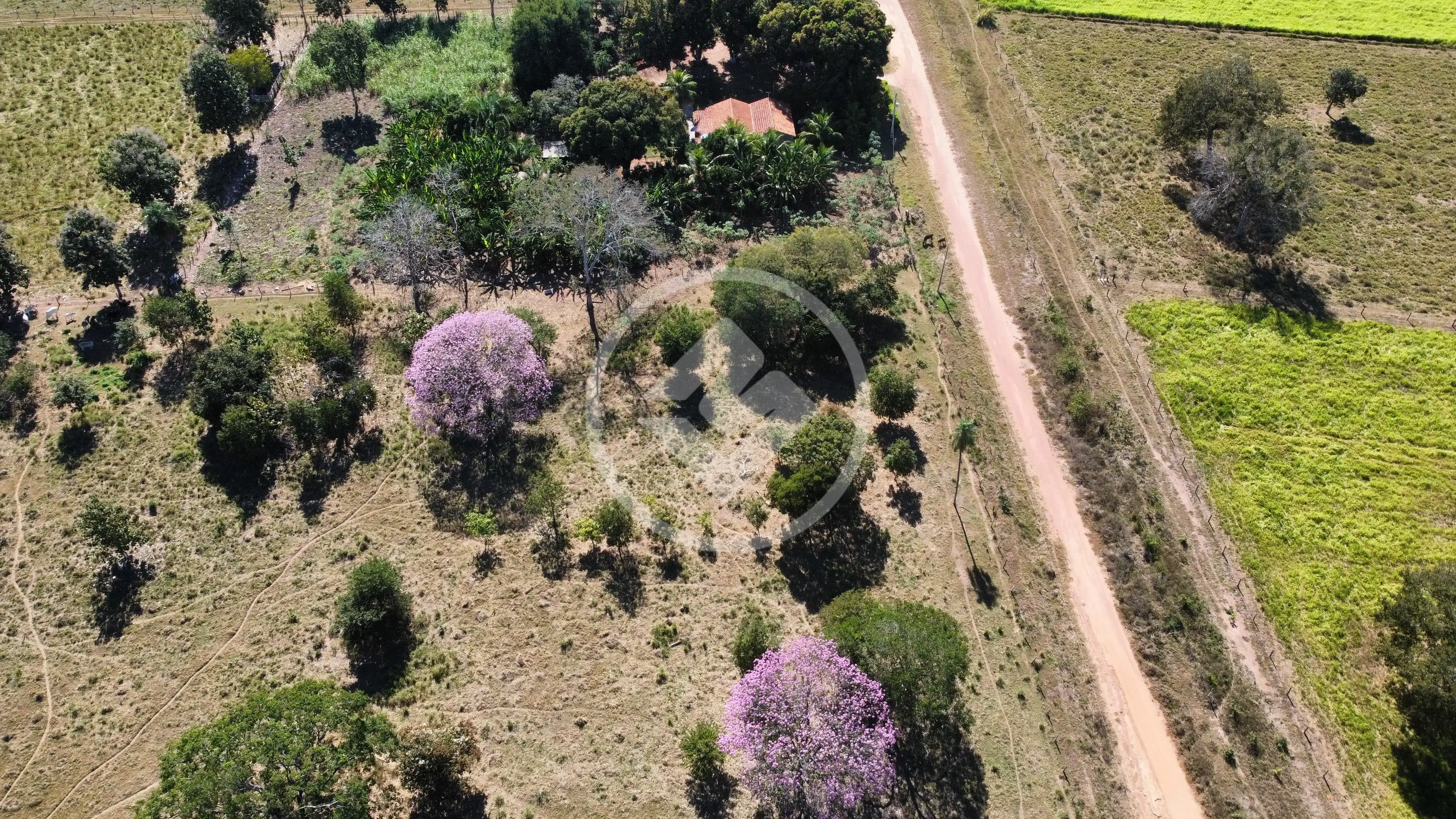 Imagem 3 - Terreno em Centro-Sul, Cáceres - MT