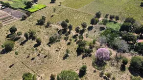 Imagem 6 - Terreno em Centro-Sul, Cáceres - MT
