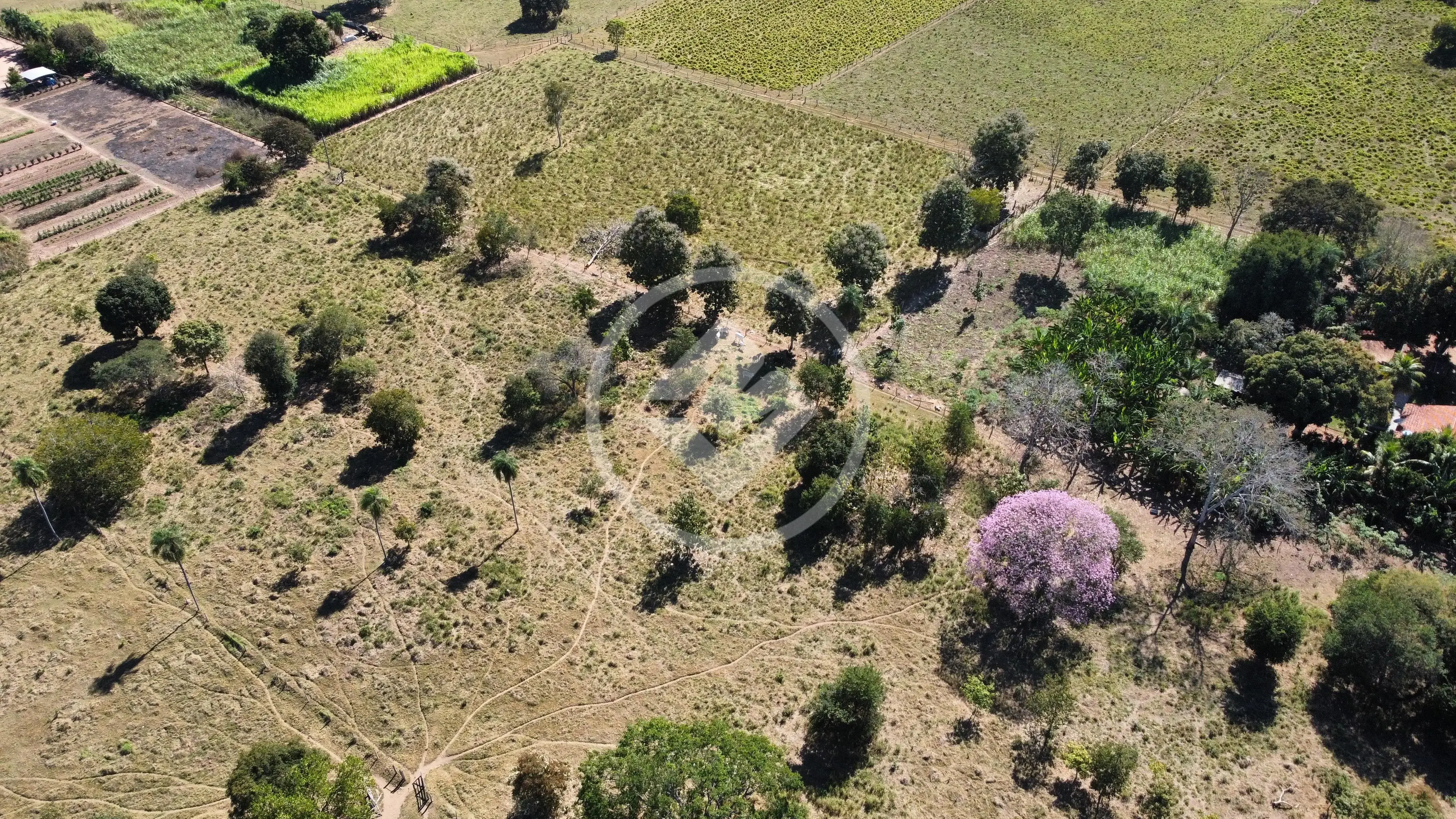 Imagem 6 - Terreno em Centro-Sul, Cáceres - MT