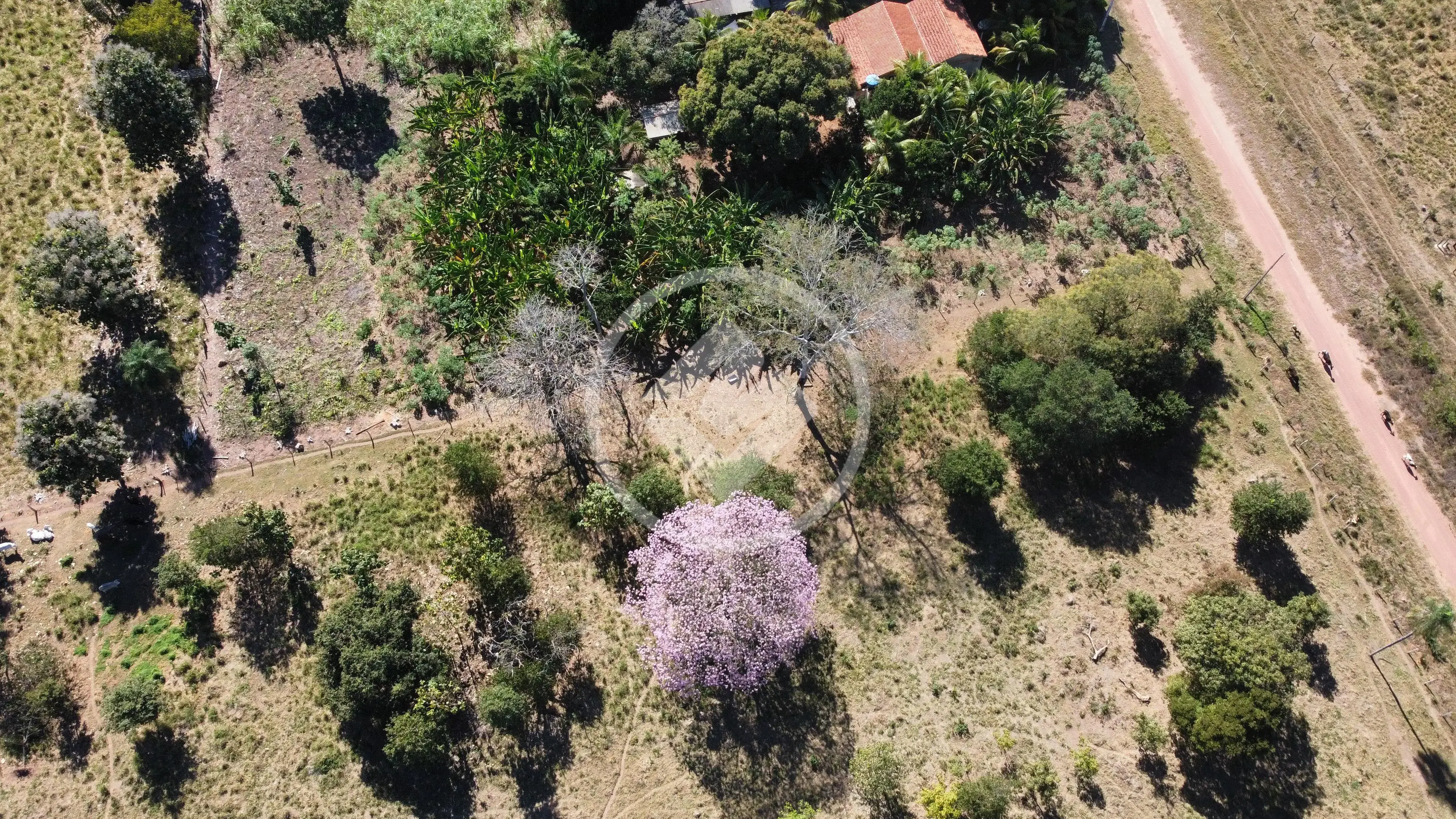 Image 14 - Terreno em Centro-Sul, Cáceres - MT