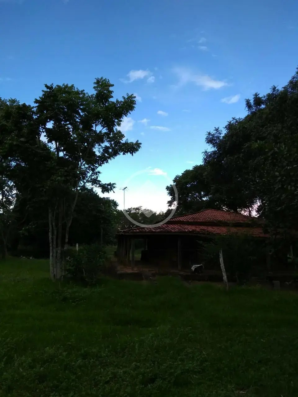 Imagem 1 - Chácara em Garcez, Cáceres - MT