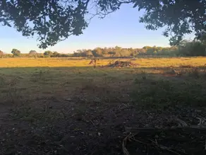 Imagem 2 - Chácara em Santa Cruz, Cáceres - MT