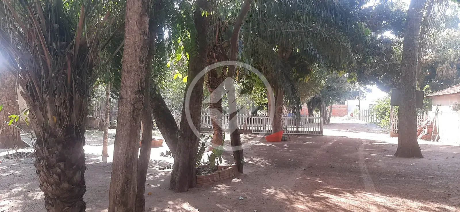 Imagem 5 - Terreno em Garcez, Cáceres - MT