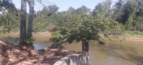 Imagem 6 - Terreno em Garcez, Cáceres - MT