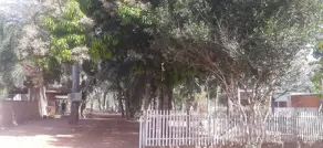 Imagem 4 - Terreno em Garcez, Cáceres - MT