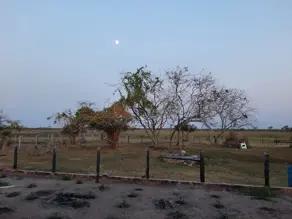 Imagem 4 - Fazenda em ZONA RURAL, Cáceres - MT