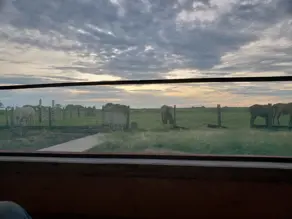Imagem 6 - Fazenda em ZONA RURAL, Cáceres - MT