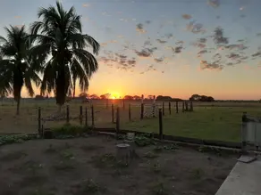 Imagem 3 - Fazenda em ZONA RURAL, Cáceres - MT