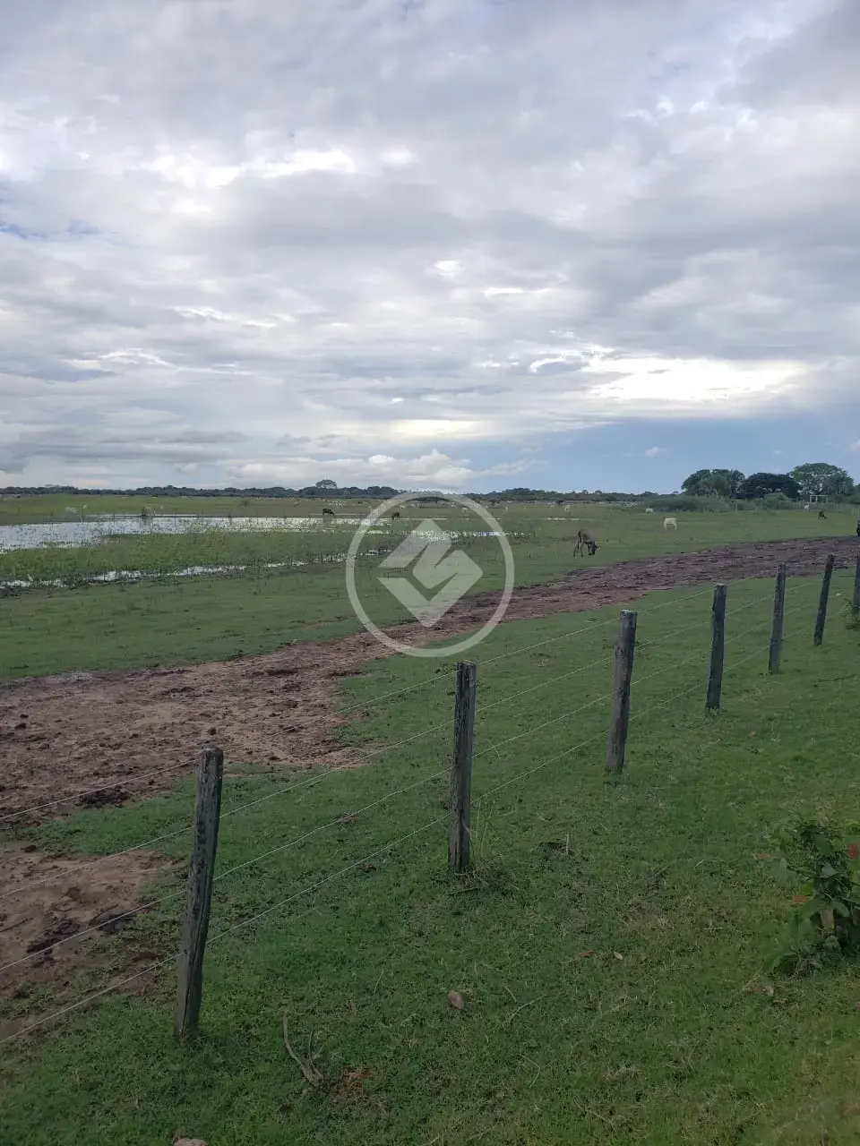 Image 2 - Fazenda em ZONA RURAL, Cáceres - MT