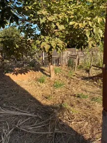 Imagem 3 - Terreno em São Lourenço, Cáceres - MT