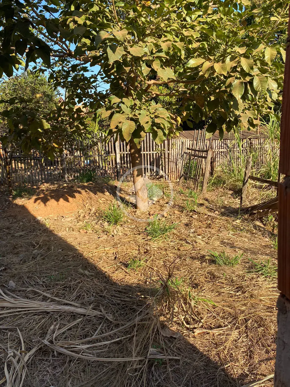 Imagem 3 - Terreno em São Lourenço, Cáceres - MT