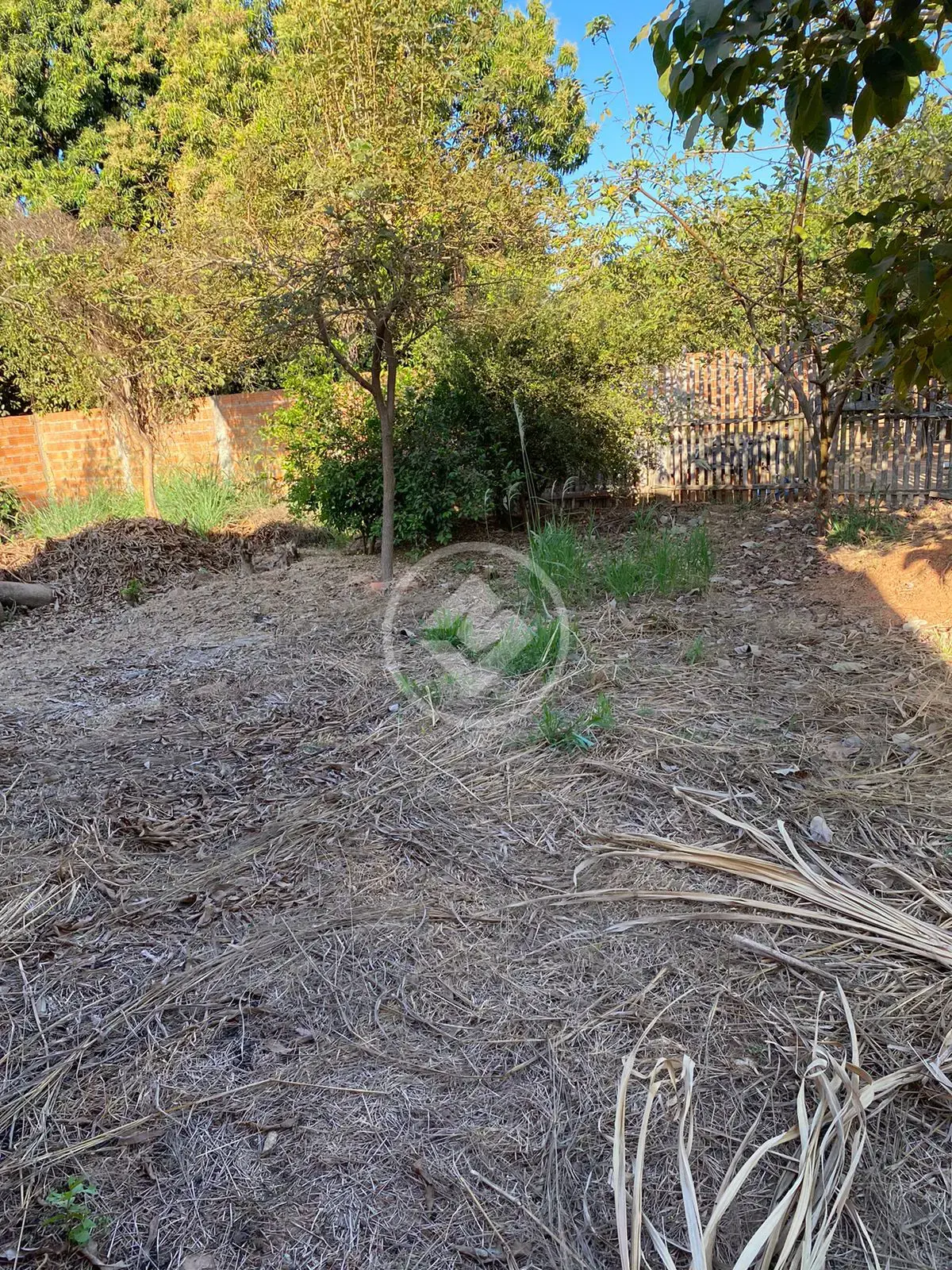 Imagem 1 - Terreno em São Lourenço, Cáceres - MT