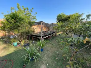 Imagem 5 - Casa em Vila Real, Cáceres - MT