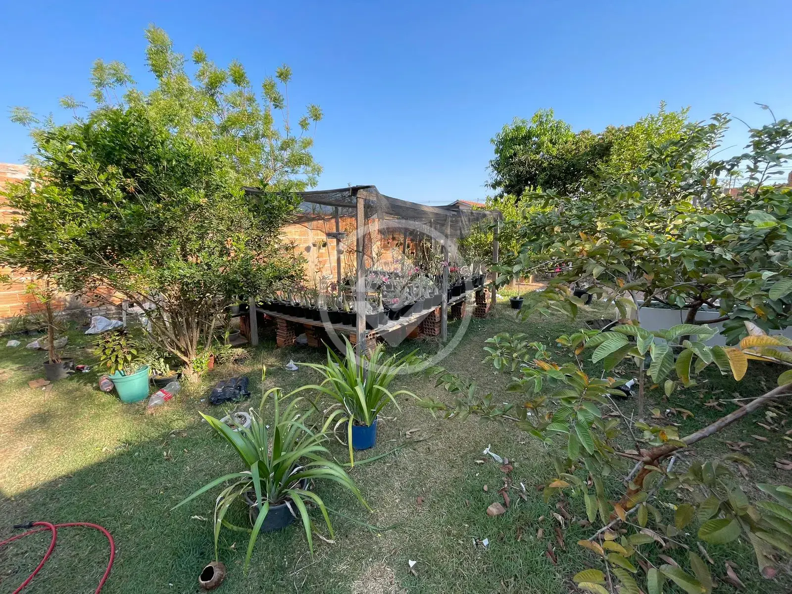 Imagem 5 - Casa em Vila Real, Cáceres - MT
