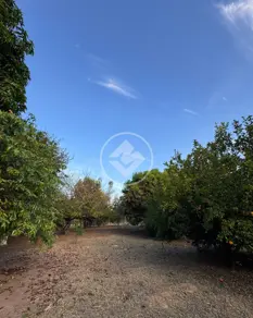 Chácara Santa Cruz, Cáceres - MT — foto 2