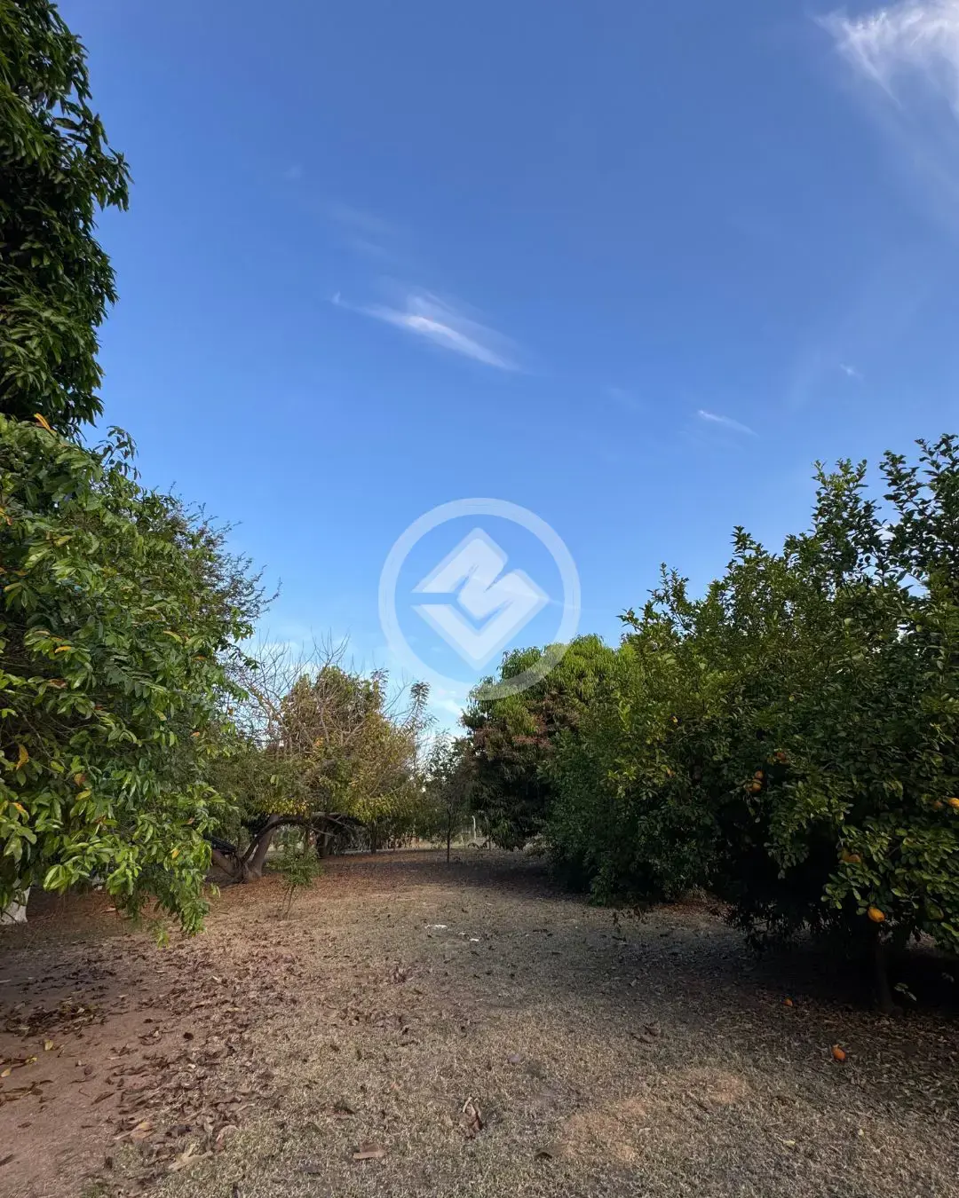Imagem 1 - Chácara em Santa Cruz, Cáceres - MT