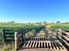 Imagem 5 - Fazenda em Olhos D Agua, Cáceres - MT