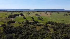 Fazenda Olhos D Agua, Cáceres - MT — foto 1