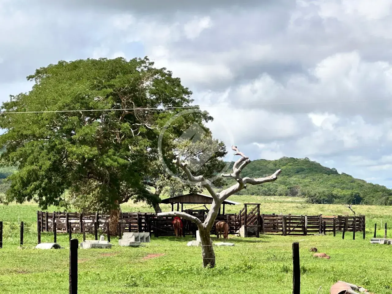 Image 2 - Fazenda em Olhos D Agua, Cáceres - MT