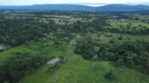 Imagem 4 - Fazenda em Olhos D Agua, Cáceres - MT