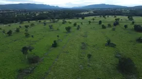 Fazenda Olhos D Agua, Cáceres - MT — foto 2