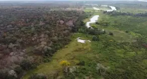 Imagem 3 - Fazenda em Olhos D Agua, Cáceres - MT