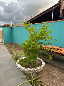 Imagem 2 - Casa em Centro-Sul, Cáceres - MT