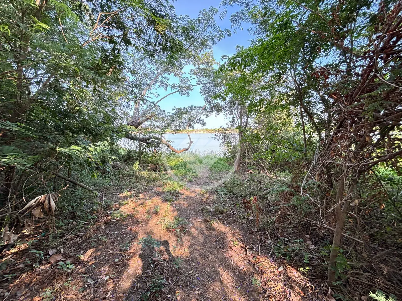 Imagem 3 - Terreno em São Miguel, Cáceres - MT