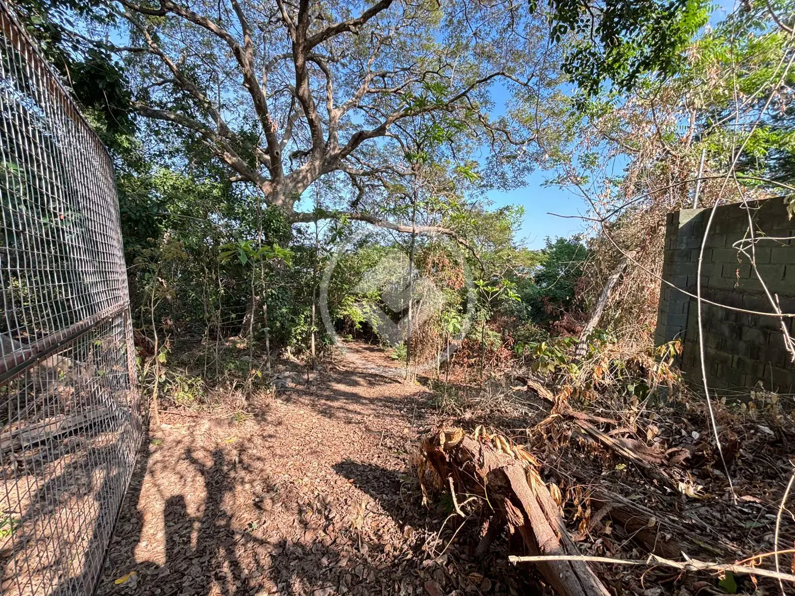 Imagem 4 - Terreno em São Miguel, Cáceres - MT