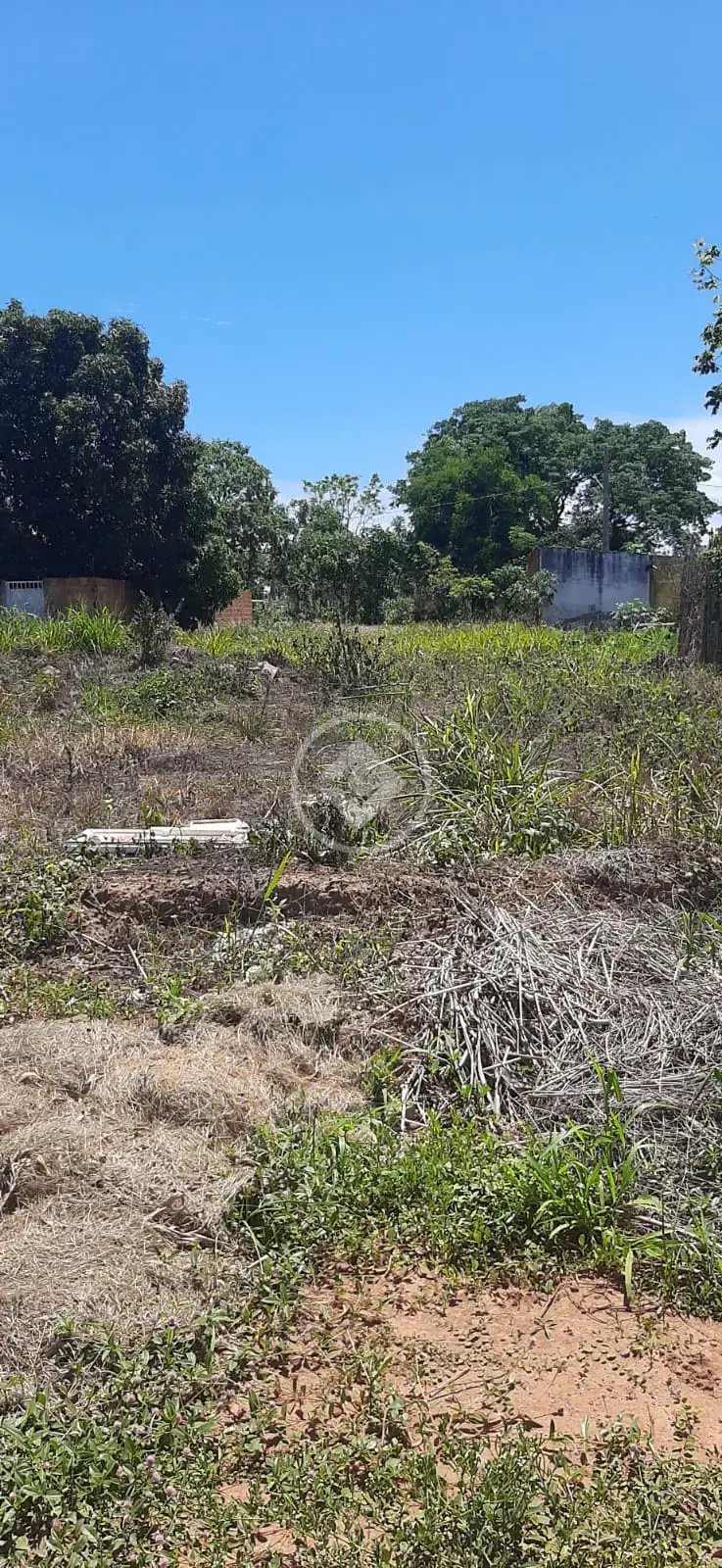 Imagem 2 - Terreno em Jardim Padre Paulo, Cáceres - MT