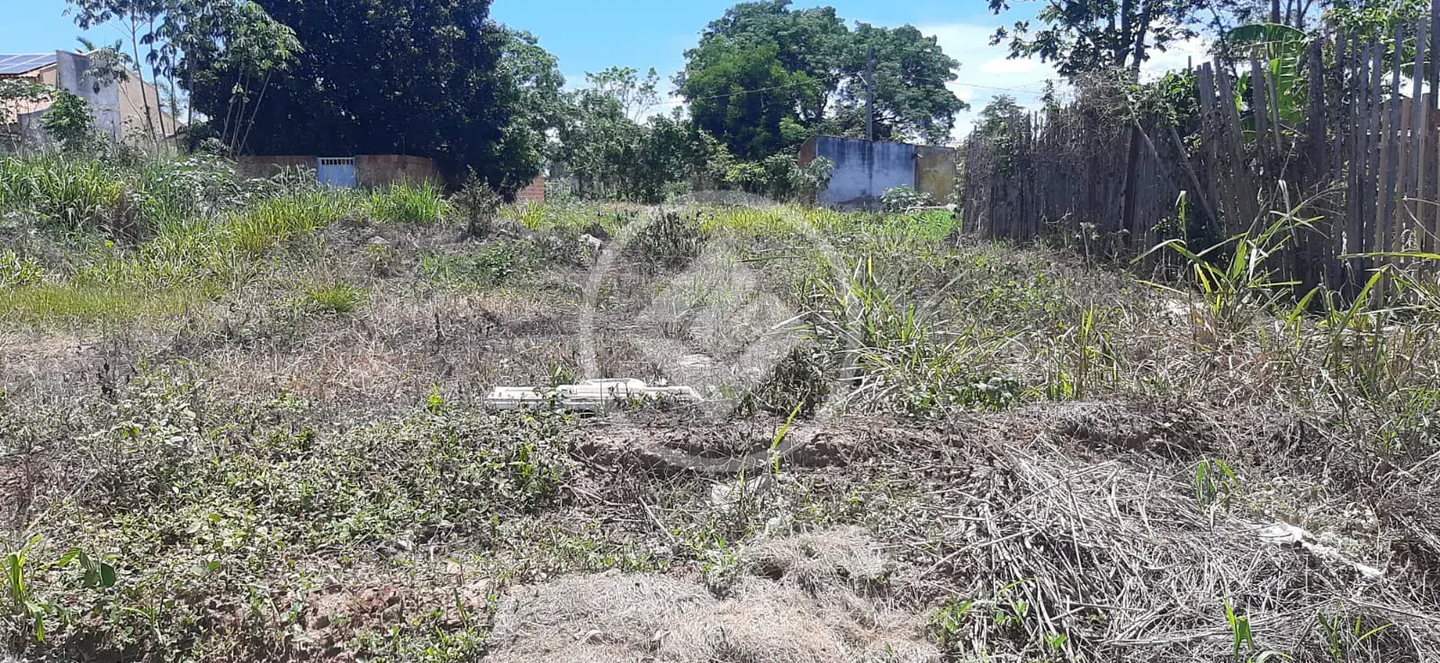 Imagem 4 - Terreno em Jardim Padre Paulo, Cáceres - MT