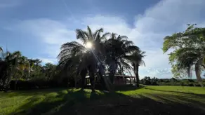 Imagem 4 - Chácara em Olhos D Agua, Cáceres - MT