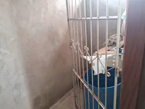 Imagem 3 - Kitnet / Conjugado em Vila Mariana, Cáceres - MT