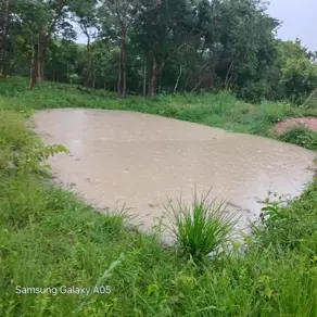 Sítio Olhos D Agua, Cáceres - MT — foto 1