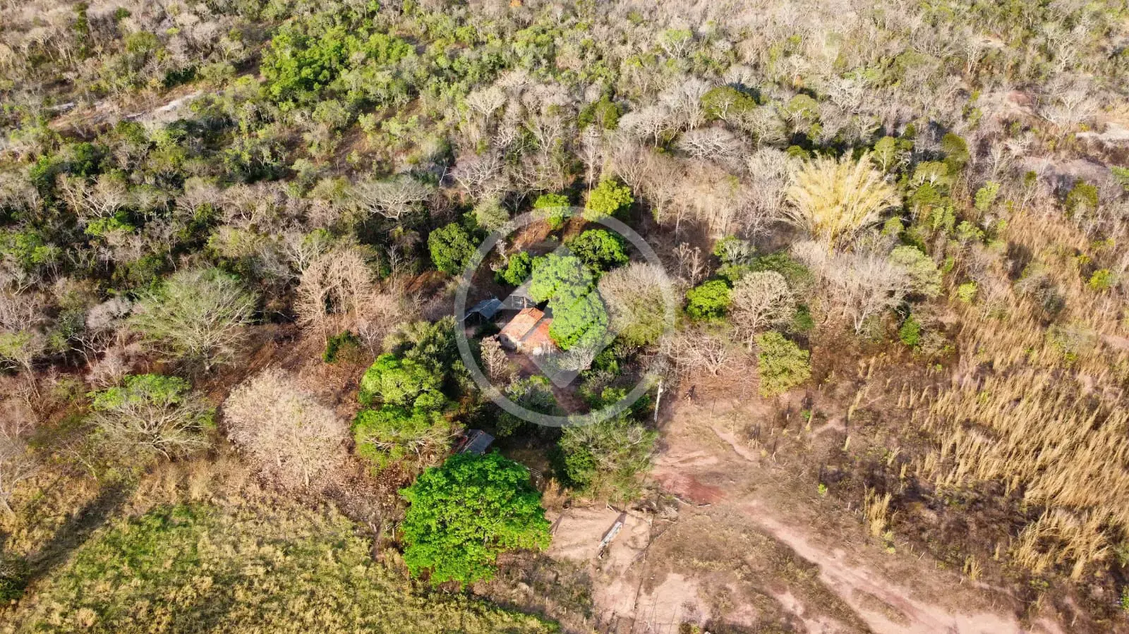 Imagem 1 - Fazenda em Santa Cruz, Cáceres - MT