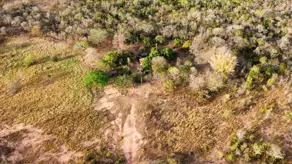 Imagem 2 - Fazenda em Santa Cruz, Cáceres - MT