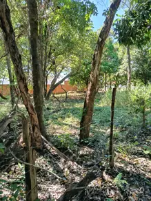 Imagem 3 - Terreno em Cavalhada II, Cáceres - MT
