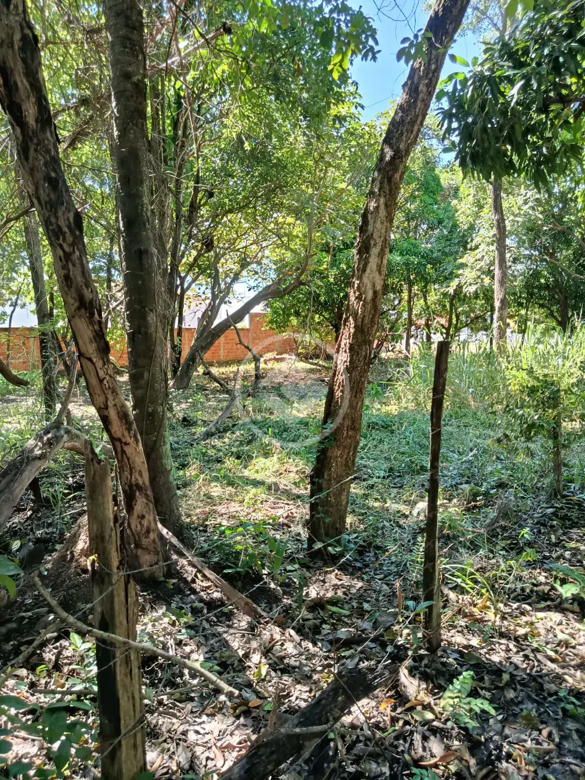Imagem 3 - Terreno em Cavalhada II, Cáceres - MT