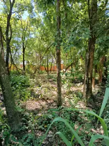 Imagem 5 - Terreno em Cavalhada II, Cáceres - MT