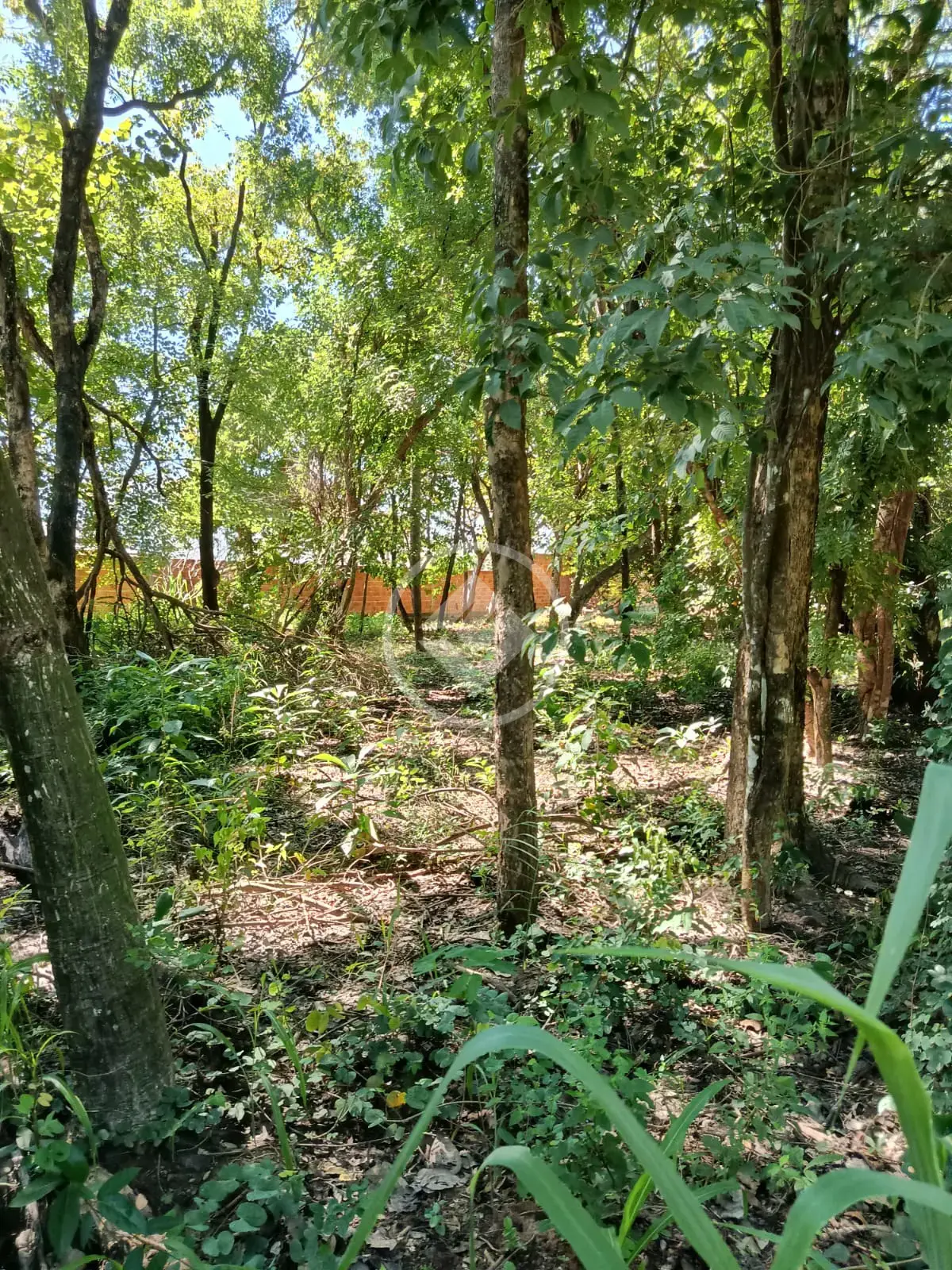 Imagem 5 - Terreno em Cavalhada II, Cáceres - MT